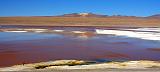 BOLIVIA 2 - Laguna Colorada - 14